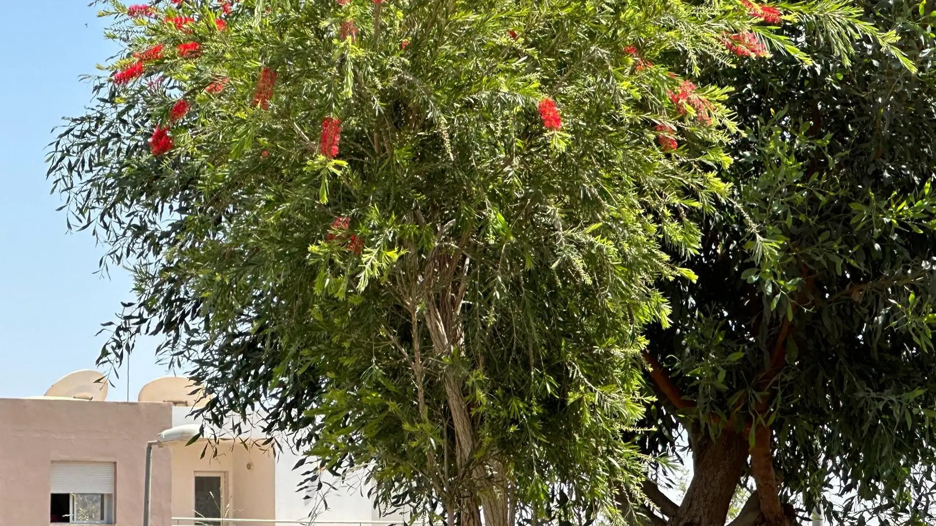 דירה אגאדיר Imi Appart 1 מרוקו